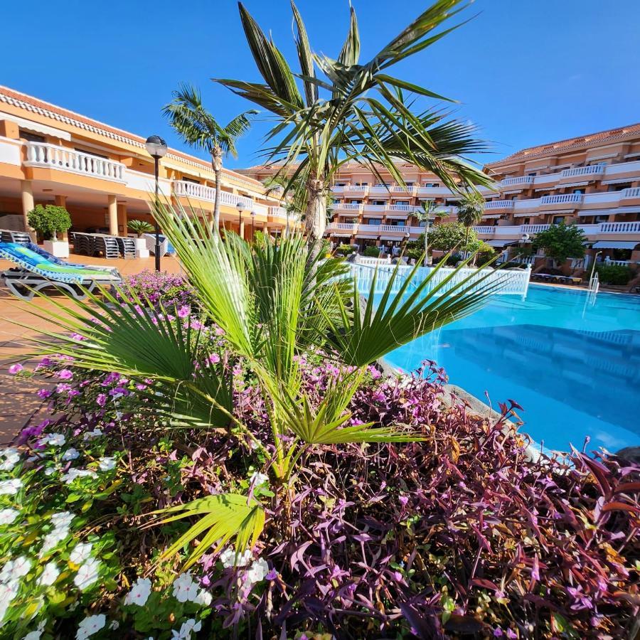 Tenerife Holidays Deluxe, Royal Garden, Las Americas 美洲海滩 外观 照片