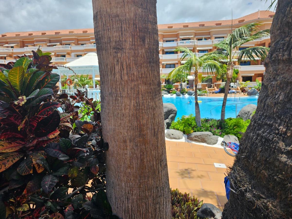Tenerife Holidays Deluxe, Royal Garden, Las Americas 美洲海滩 外观 照片